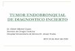TUMOR ENDOBRONQUIAL DE DIAGNOSTICO INCIERTO€¦ · nódulos múltiples (5%), masas mediastínicas, tumor endobronquial (0,6%)(1)(2) Diagnóstico Es anatomopatológico Difícil diagnóstico