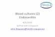 Blood cultures (2) Endocarditis · Endocarditis. Healthcare . associated: IV line assoc. Principal source of infection Adult Paed Total Abdominal sepsis (other) 67 2 69 Endocard (native)