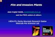 Fire and Invasive Plants · Ruderal = necessarily invasive. Ruderal =~ “weedy” Steve Sutherland, RMRS. Another term: Often when people say “invasive species,” and especially