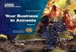 Your Business in Armenia nov 2013 - KPMG … · I am pleased to introduce an Investment Guide: “Your Business in Armenia”. This publication is a part of a wider Government effort