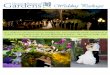 Wedding Packages - Tucson Botanical Garden · 2015-04-15 · Wedding Packages As a child you dreamed of your wedding day surrounded by family and friends in a place as enchanting