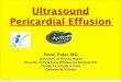 Ultrasound Pericardial Effusion - University of Florida...Pericardial Effusion Rohit Patel, MD University of Florida Health Director, Critical Care Ultrasound Surgical ICU Center for