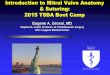 Introduction to Mitral Valve Anatomy & Suturing: 2015 TSDA Boot Camp · 2019-10-08 · Intro Mitral Valve Anatomy: 2015 TSDA Boot Camp . Lets get to work and enjoy the lab…. SCHOOL