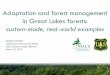 Adaptation and forest management in Great Lakes forestschangingclimate.osu.edu/webinars/ppt/handler-adaptation.pdf · Stephen Handler USDA Forest Service and NIACS OSU Climate Change