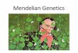 Mendelian Genetics - qsd48.org · Mendelian Genetics. Allele •An allele is one of a pair of genes that appear at a particular location on a particular chromosome and control the