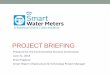 PROJECT BRIEFING - Bellevue · INFORMATION ON WATER USE •Customers can control water usage •Proactive leak detection 3 AMI evaluated in 1996, 2004, 2008, 2014, 2016 City Council