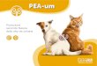 PEA-um - Innovet€¦ · La PEA agisce sui 3 componenti essenziali dell’omeostasi renale: • glomeruli13,14 • tubuli13,14 • mastociti.15-18 Tutti e 3 questi elementi funzionali,