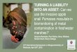 Turning a liability into an asset: can we use the invasive apple … · 2018-05-25 · TURNING A LIABILITY INTO AN ASSET: Can we use the invasive apple snail Pomacea maculatain biomonitoring