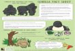GORILLA FACT SHEETS FINAL · 2019-03-20 · Title: GORILLA FACT SHEETS FINAL Created Date: 5/9/2017 2:44:17 PM