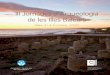 III Jornades d’Arqueologia de les Illes Balearsseccioarqueologia.cdlbalears.es/wp-content/uploads/... · Consell Insular de Menorca, 2011 ISBN: 978-84-937073-8-5 Dipòsit legal: