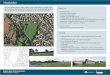 160610 Illogan Park Public Consultation Boards A3 · 2019-03-01 · 3D Views These are sketch views of the proposed scheme. The viewing terrace has benching around the face of the