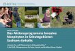 Katrin Schneider Das Aktionsprogramms Invasive Neophyten in … · 2018-10-08 · Das Aktionsprogramms Invasive Neophyten in Schutzgebieten Sachsen-Anhalts, 3.5.2018 Katrin Schneider
