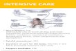INTENSIVE CARE - WordPress.com · 2019-12-03 · INTENSIVE CARE •Resuscitation: YES Will include one or more of: bag and mask ventilation, continuous positive airway pressure (CPAP),