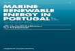 POLICY BRIEF EN MARINE RENEWABLE ENERGY IN PORTUGAL … · of offshore wind energy at the local level, in particular floating offshore wind turbines, can be positive. Based on the