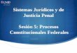 Sistemas Jurídicos y de Justicia Penal Sesión 5: Procesos Constitucionales … · 2014-08-19 · Procesos Constitucionales Federales. Los procesos constitucionales son los pasos