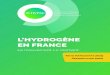 L’HYDROGÈNE EN FRANCE€¦ · écologique et solidaire, François de Rugy, pour une ... de la mobilité propre pour la pro-chaine décennie, incluant la mobilité hydrogène. En