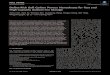 Defect‐Rich Soft Carbon Porous Nanosheets for Fast and ...mai.group.whut.edu.cn/pub/sle/201904/P020190430646439940348.… · materials only emerge through nanostructure by virtue