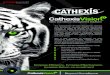 Increase Ef˜ciency, Increase Effectiveness, Increase Return-on … · 2019-08-15 · Hospitality Mining City Surveillance Africa Office (South Africa) – HQ info@cathexisvideo.com
