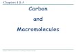 Chapters 4 & 5 Carbon and Macromolecules · 5 6 H OH 4C 6CH 2 OH CH 2 OH 5C H OH C H OH H 2 C 1 C H O OH 4 5C 3 H H OH H 2C 1 C OH CH 2 OH H H HO H OH OH 5 3 2 4 (a) Linear and ring