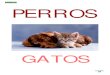 5 PERROS Y GATOS - Sanisvet.es Y GATOS-SURTROPIC.pdf · PERROS GATOS. 8065 Vita. Cat Crossys con Malta 50 gr. ALIMENTO 511 Gatos 7467 Mister Cat Leche de GatosTabergat Jalea de Malta
