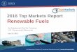 2016 Top Markets Report Renewable Fuels€¦ · Market research Advisory committees Strategic Partnerships Market Access & ... •Top Market Rankings •Industry Overview and Competitiveness