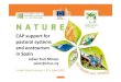 CAP support for systems and ecotourism inec.europa.eu/environment/archives/greenweek2015... · Thank you! Jabier Ruiz Mirazo jabier@efncp.org. Created Date: 6/9/2015 3:09:45 PM 