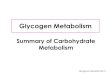 Glycogen Metabolism · glycogen granules (hepatocytes cytoplasm)-enzymes for glycogen biosynthesis and degradation are permanently and firmly bound in these granules - when glucose