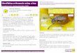 OS6A005 - Identifying Arthropods Using A Key€¦ · Arthropods are a large group of animals. The phylum (classification group) that they belong to is called arthropoda. Arthropods