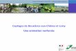 Captages de Bouxières aux Chênes et Loisy renforcée · 2013-08-05 · Commune de Loisy : Les six sources du Grand Sart. Loisy couvrent les besoins de la population de Loisy (345