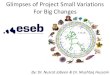 Glimpses of Project Small Variations For Big Changeseseb.org/wp-content/uploads/2015/07/ESEB_outreach_Hussain_glim… · March 2015 at Shah Abdul Latif University, Khairpur Sindh),