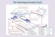 The Hydrological (water) Cycle · 2020-03-20 · The Hydrological (water) Cycle 4. _____ 2._____ 1 Surface run-off Evaporate Infiltration Transpiration Through-flow Condense Groundwater