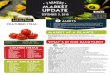 @FreshStartFoodsCanada Milton HQ: 1-800-563-5033 Ottawa ... · Quebec green leaf, red leaf Ontario has started with red and whites, with yellow to get going over the next week or