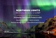 NORTHERN LIGHTS RESOURCES CORP · will obtain from them. Forward-looking statements reflect management's current views and are based on certain expectations, estimates and assumptions