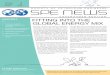 PAGE GLOBAL ENERGY MIX - spe-cph.dk · substituting gasoline/petrol in internal combustion engine cars with renewable electricity sourced from a wind farm in battery-powered vehicles