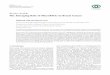 ReviewArticle TheEmergingRoleofMicroRNAsinBreastCancerdownloads.hindawi.com/journals/jo/2020/9160905.pdf · proliferation and tumorigenesis by suppressing the ex- pressionofpatatin-likeprotein2(PLP2)[51].miR-221/222