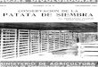 CONSERVACION DE LA PATATA DE SIEMBRA · 2006-10-25 · CONSERVACION DE LA PATATA DE SIEMBRA Se dedica esta HOJA a los cultivadores ^de patata, ^-en ^especia^l a los productores de