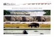 Southern Experience Fly-in Safari 2020 · Page | 4 mail: info@parkersafricantravel.com • website: Southern Experience Fly-in Safari 2020 Victoria Falls, Zimbabwe - Chobe River Front