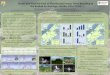 Status and Nest Survival of Aleutian and Arctic Terns ... · the Kodiak Archipelago, Alaska, 2016-2018 Introduction Aleutian terns (Onychoprion ... • Coefficient of Variation (CV)