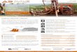 AFRICA’S · Fe Portfolio by Country Ivory Coast Ethiopia Liberia Morocco Mali Cameroon Pipeline Available for JV JV 2 6 9 Portfolio by Development 0 2 4 6 8 10 Iron Aluminium Copper