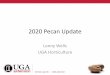 2020 Pecan Update - University of Georgia · Two Different Routes for Growing Pecans High Volume, High Input • Hedge/Tight Spacing –35 X 35 • Varieties ... March or April of