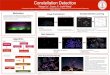 Constellation Detection - Stanford Universityweb.stanford.edu/class/ee368/Project_Spring_1415/Posters/Ji_Liu_Wang.pdfthis project, we seek to use the techniques outlined in class to