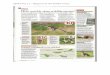 SDPNT Poe 2.2 – Magazine Of The Wildlife Trusts · of the Habitats Directive. It is protected under schedule 5 of the Wildlife and Countryside Act 1981 (as amended) and Schedule