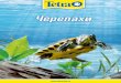 Черепахи - Tetra/media/Downloads/Brochures-Russia/turtle.pdf · Рептилии очень хорошо усваивают пищу, а их испражнения сильно