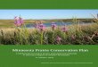 Minnesota Prairie Conservation Plan€¦ · entities pursuing their own plans independently. The development of this plan has also strengthened working relations between the partners