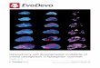 Heterochrony and developmental modularity of cranial … · 2017-08-29 · RESEARCH Open Access Heterochrony and developmental modularity of cranial osteogenesis in lipotyphlan mammals