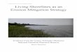 Living Shorelines as an Erosion Mitigation Strategyufdcimages.uflib.ufl.edu/AA/00/06/22/16/00001/... · 2018-02-05 · biophilic design. Living shoreline designs (Figure 3) emphasize