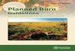 Department of National Parks, Recreation, Sport and …...Mitchell Grass Downs Bioregion of Queensland Department of National Parks, Recreation, Sport and Racing Planned Burn Guidelines