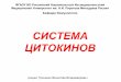 СИСТЕМА ЦИТОКИНОВdo.rsmu.ru/fileadmin/user_upload/mbf/Immunology/Citokiny.pdf · клеток иммунной системы, их ... системами организма