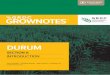 DURUM - Home - GRDC · 2018-11-06 · Durum wheat should only be grown on highly fertile soils where high protein grain can be produced, as protein levels >13% are required to meet