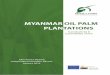 MYANMAR OIL PALM PLANTATIONS - Supply Chainge · CSR Corporate Social Responsibility DICD Department of Industrial Crop Development DoA (IC) Department of Agriculture (Industrial